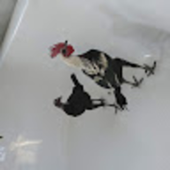 Meet your Posher, Constance - Picture 1 of 1